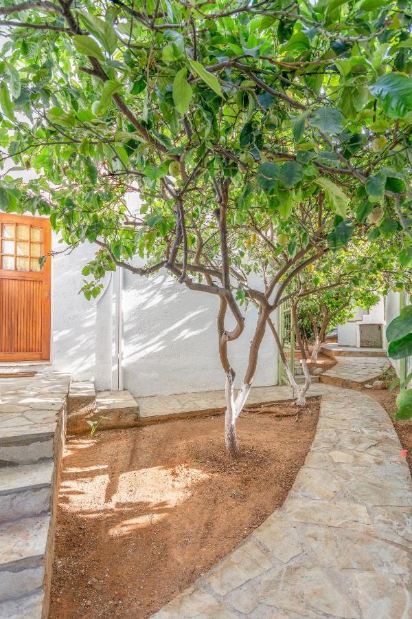 Gaia Residence ヘルソニソス エクステリア 写真